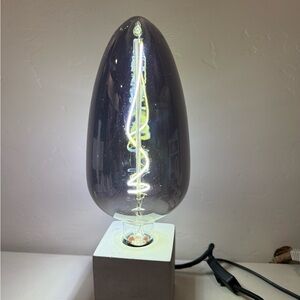 Large‎ Contemporary Modern Lamp Egg  Shaped Mercury Glass Bulb